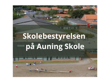 Skolebestyrelsen