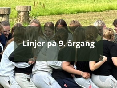 Linjer på 9. årgang
